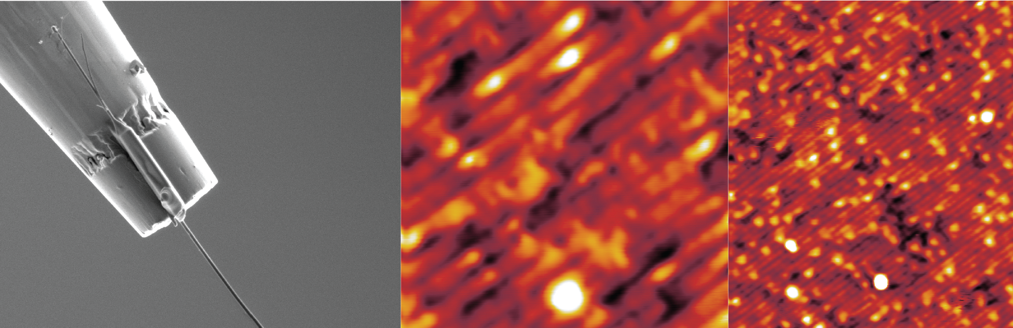 Scanning electron microscope image (left) of samarium hexaboride nanowire bonded to STM, with images from new study (middle and right). The middle image is a zoomed in view, showing light-dark-light striping that occurs in antiferromagnetic material. (Images provided by authors for use in this news story)