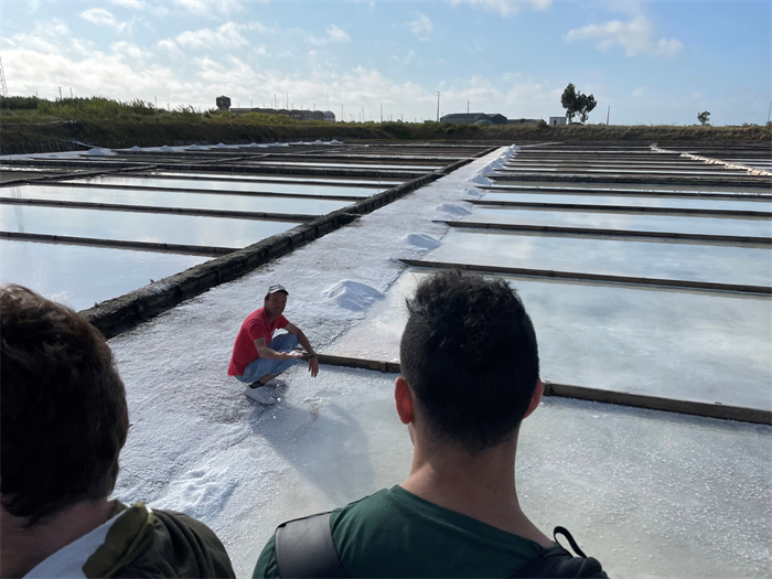 The conference's events included a tour of the Marinha da Noeirinha salt farms where salt is produced locally by passing salt water through a series of pools of increasing salinity before salt can be harvested.&amp;amp;nbsp;(Image: Sarah Maria Hagen)